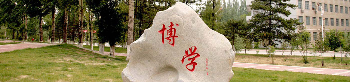国产精品